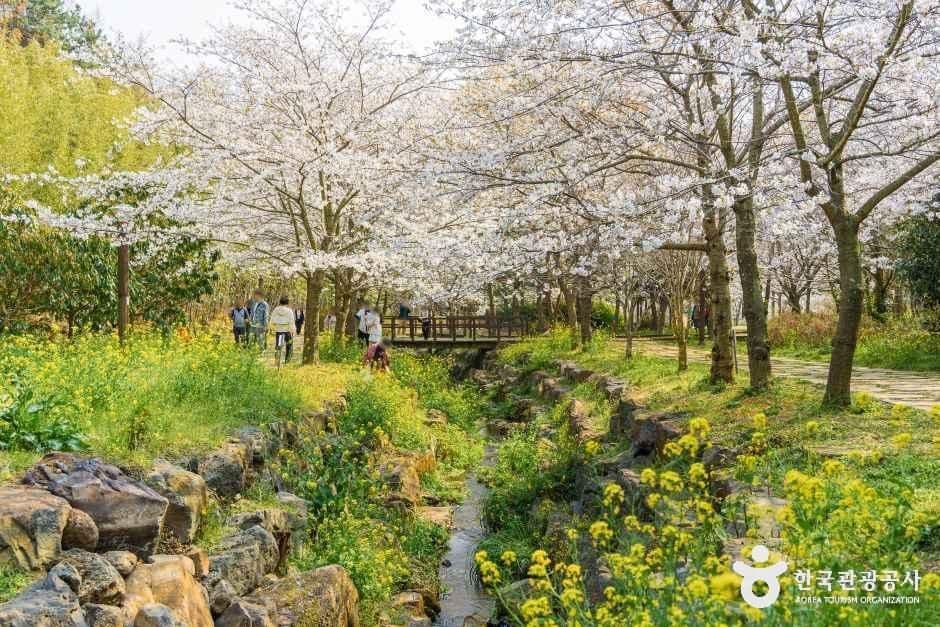 대왕수천예래생태공원 사진 3