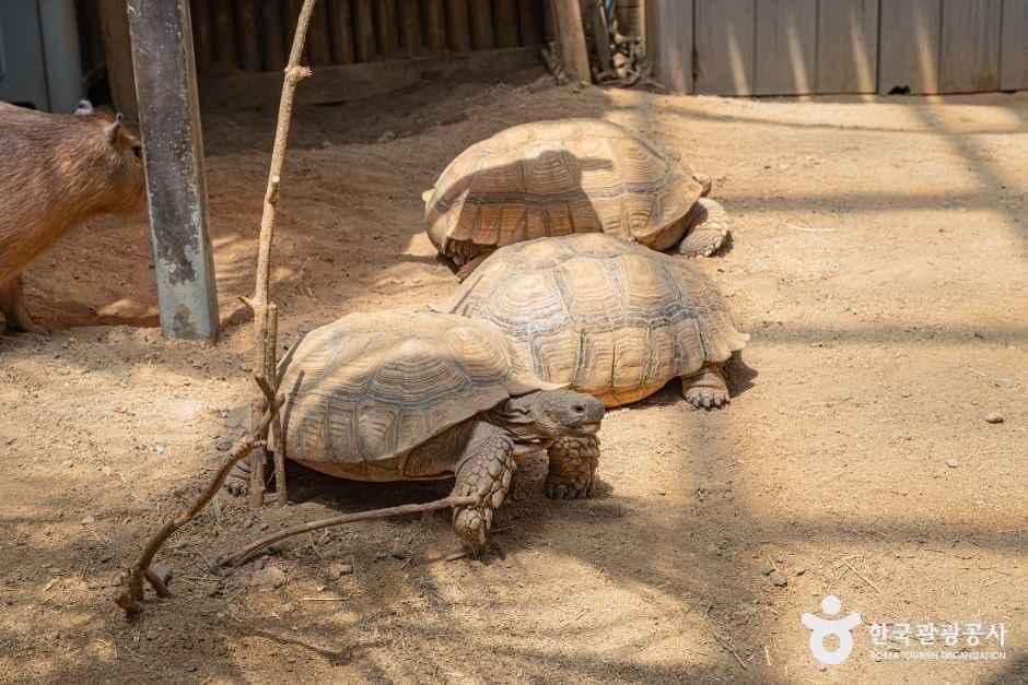 네이처파크 사진 5