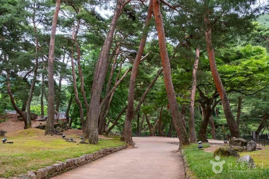 영주 소수서원