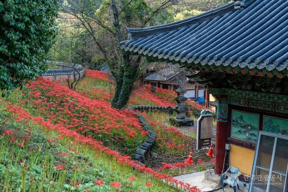 용천사(함평) 사진 1