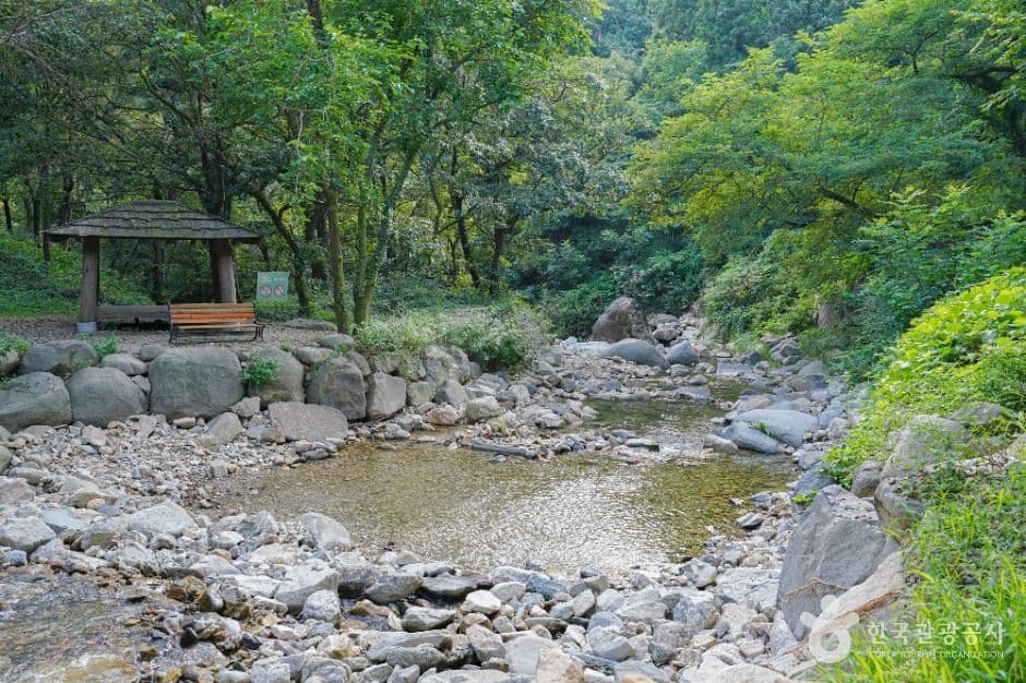 한재골 계곡 사진 4