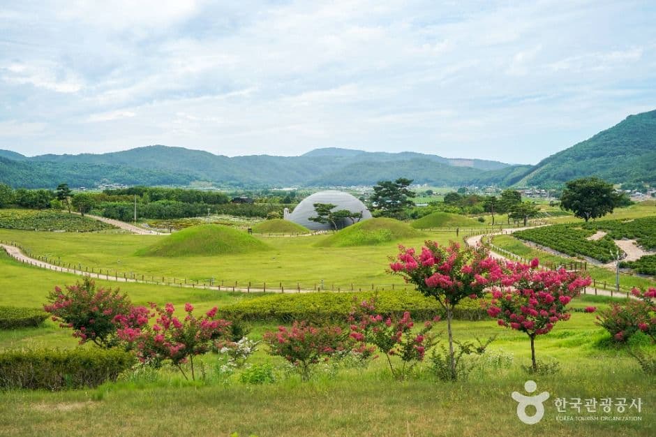 의성 조문국사적지 사진 2