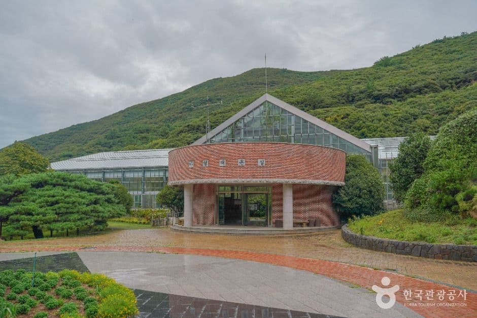 완도수목원 사진 1