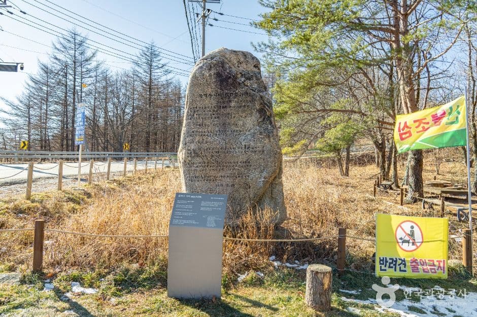 만항재 사진 6