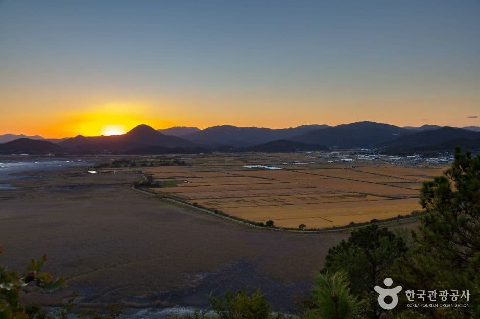 용산전망대 사진 4