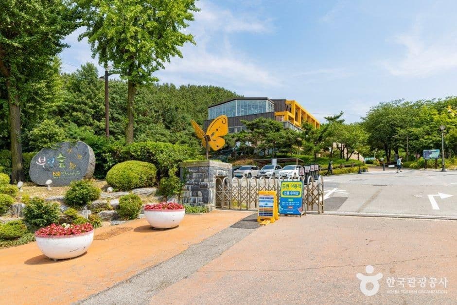 인천나비공원 사진 5
