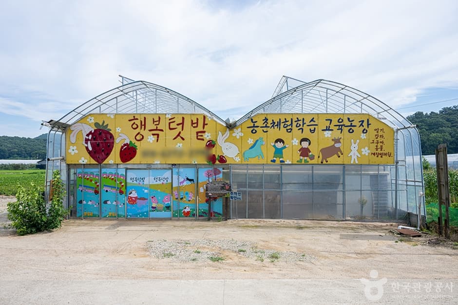 행복텃밭