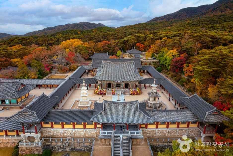 경주 불국사 [유네스코 세계유산] 사진 6