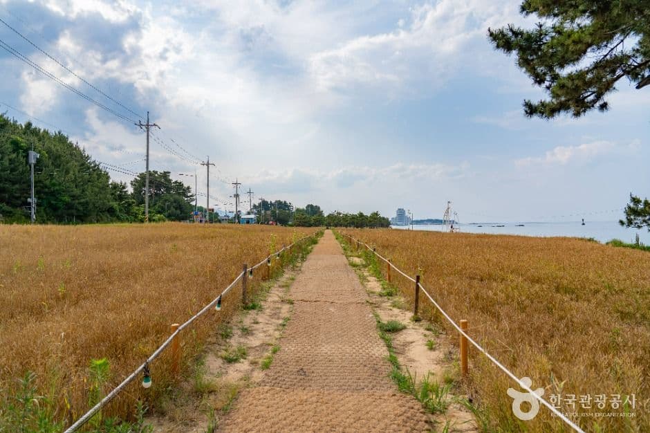 순긋해변 사진 1