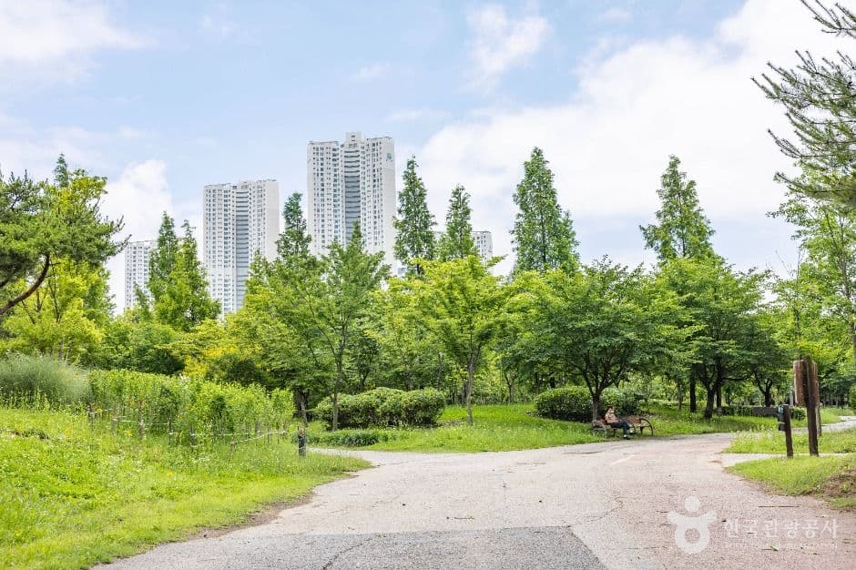 늘솔길공원 사진 6