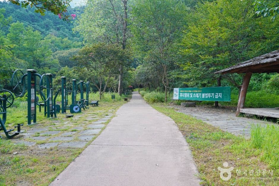 한재골 계곡 사진 5