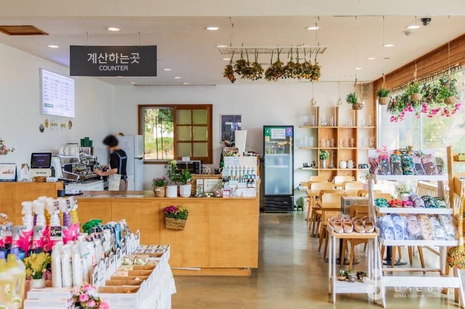 일영허브랜드(숲길정원) 사진 7