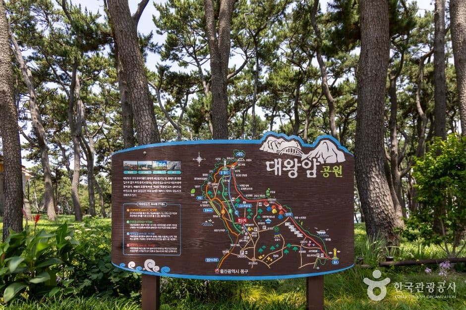 대왕암공원 사진 2