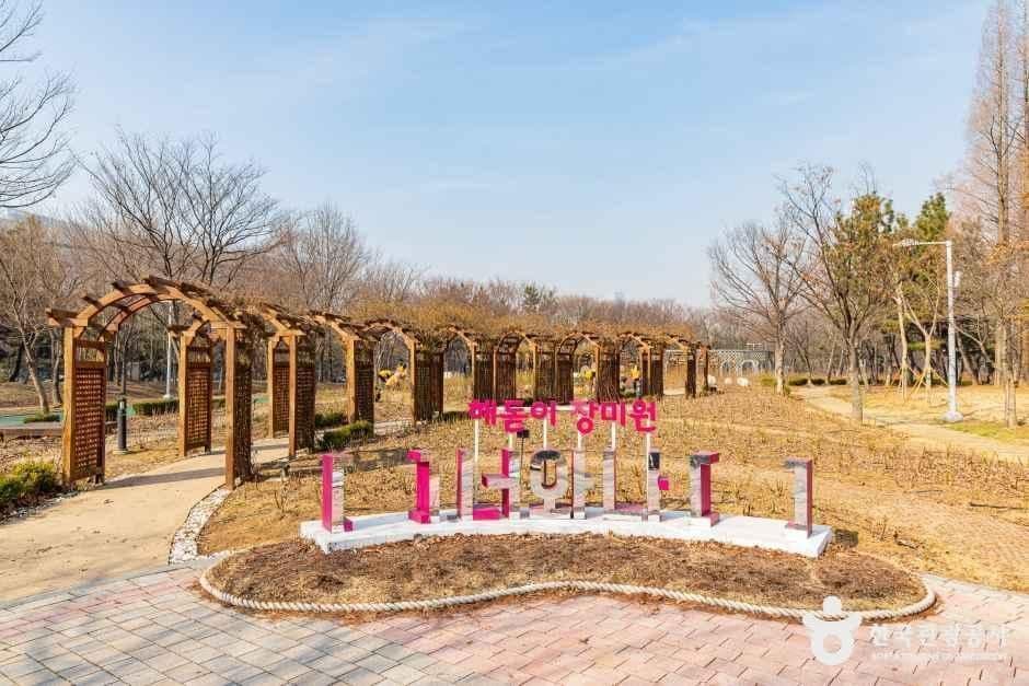 해돋이공원 사진 5