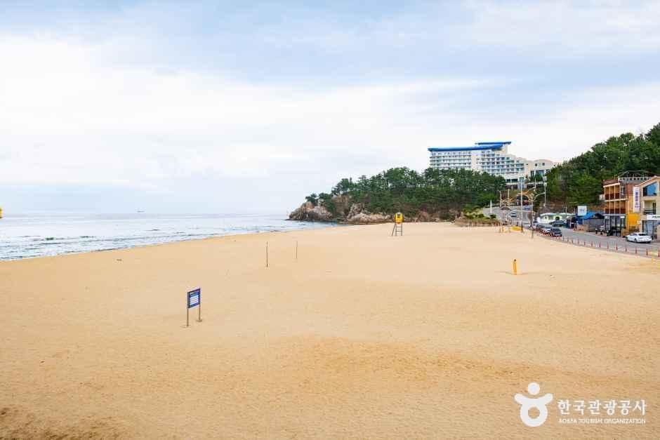 증산해변 사진 6
