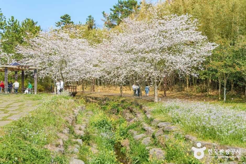 대왕수천예래생태공원 사진 5