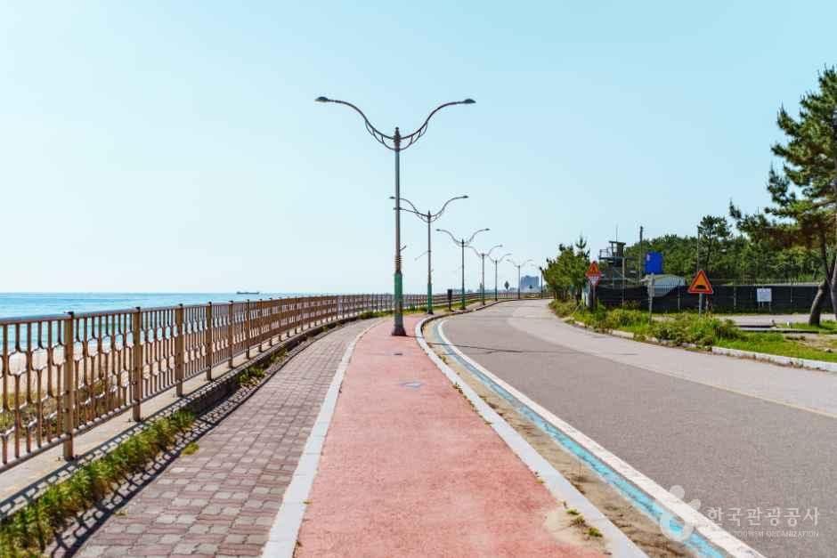 [해파랑길] 41코스