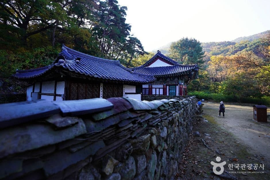갑사 사진 4