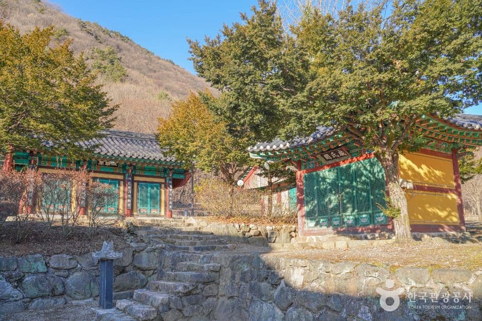 사나사(양평) 사진 6