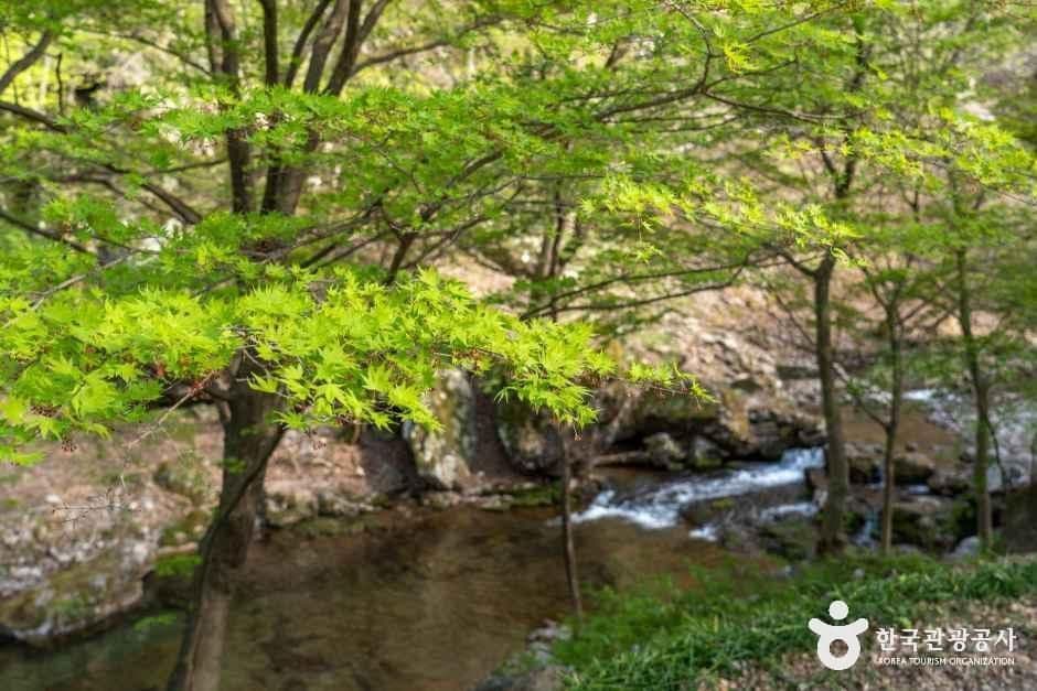 강천산 군립공원 사진 7