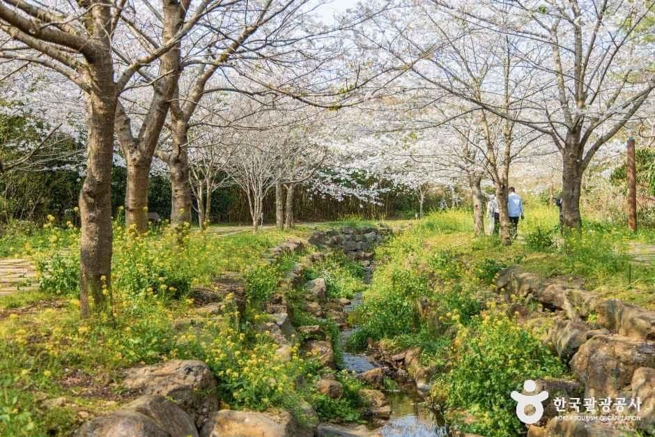 대왕수천예래생태공원 사진 6