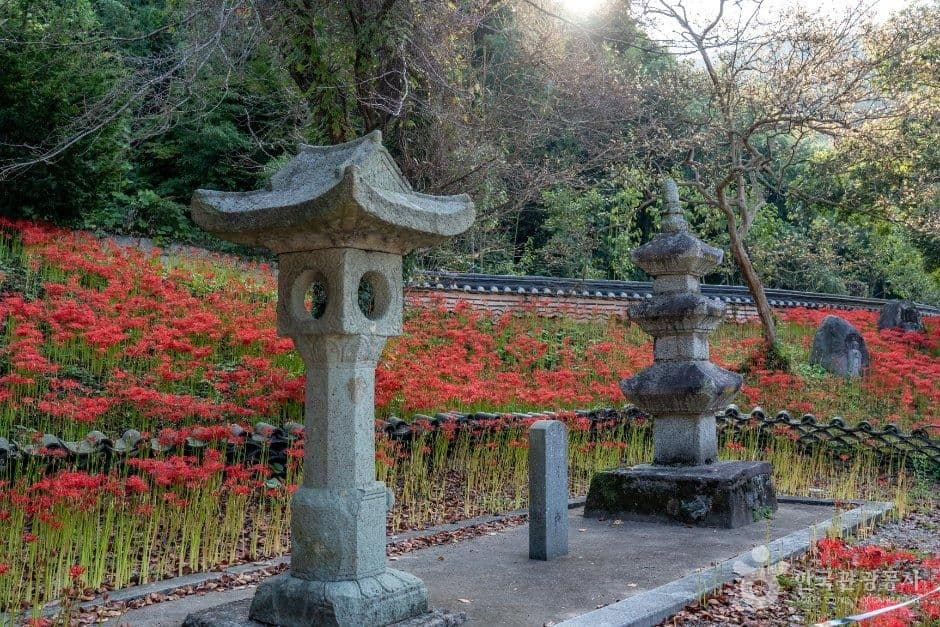 용천사(함평) 사진 3