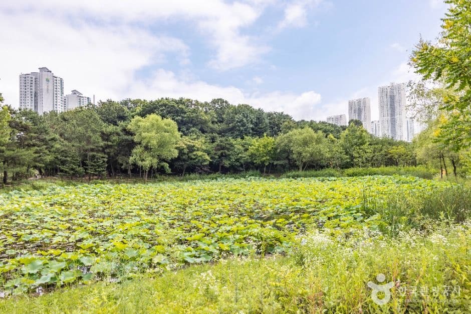 늘솔길공원 사진 8