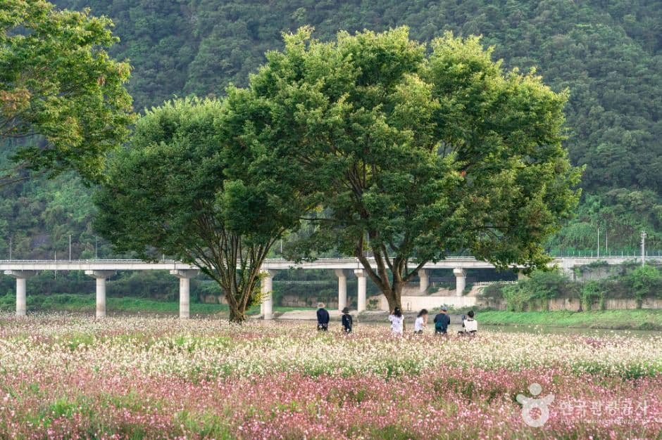 도담정원 사진 4