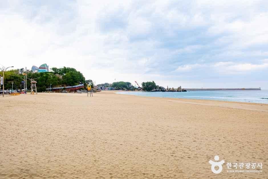 증산해변 사진 7