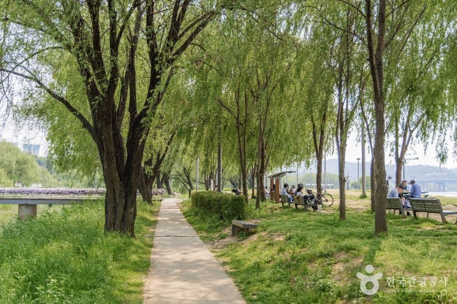 반포 서래섬 사진 2