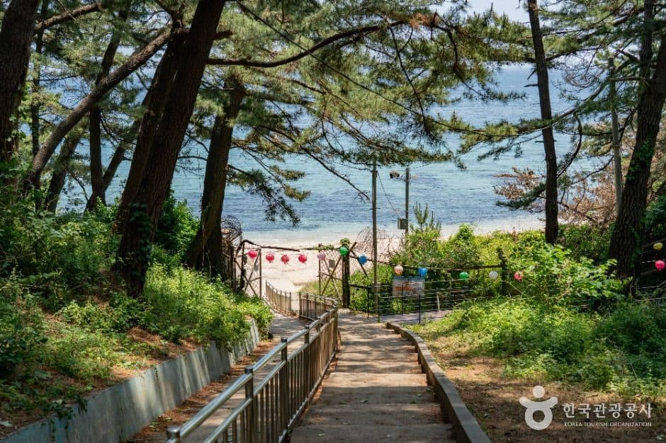 감추해변 사진 1