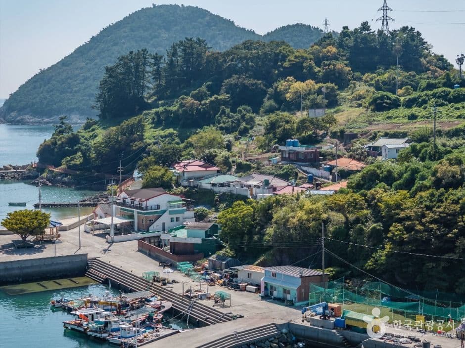조도 사진 2