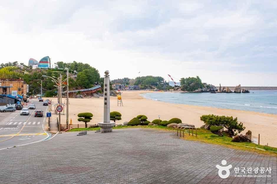 증산해변 사진 8