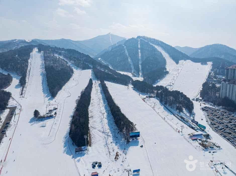 모나용평 스키장 사진 2