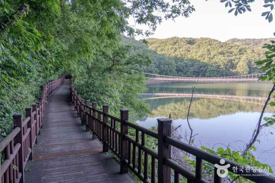 천장호 출렁다리 사진 4