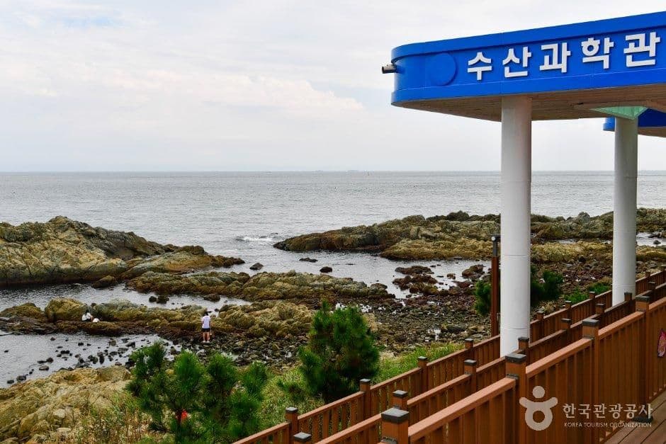 국립수산과학관