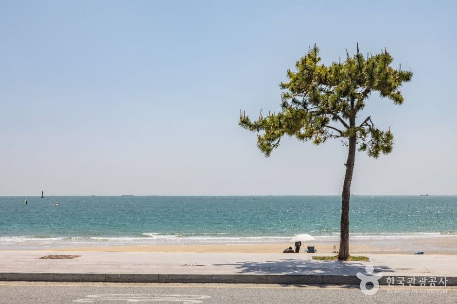 송정해수욕장 사진 1