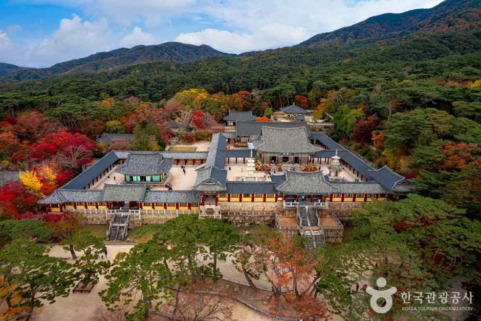경주 불국사 [유네스코 세계유산] 사진 8