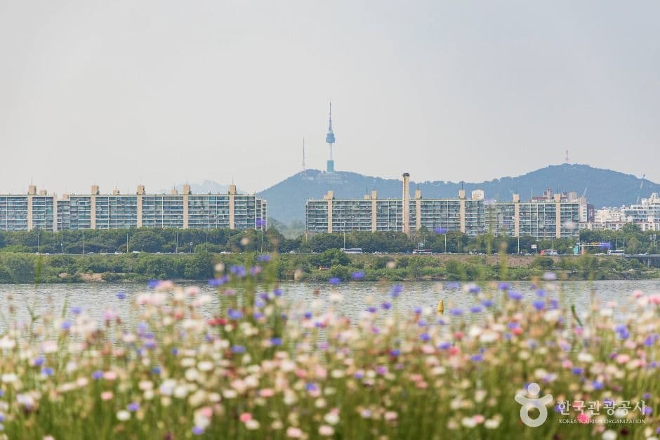 반포 서래섬