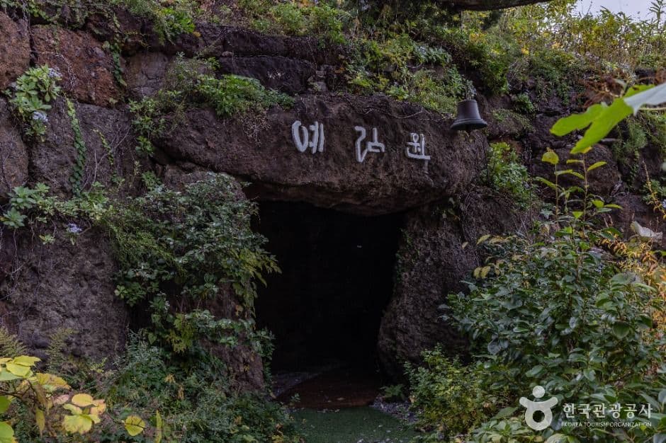 울릉예림원 사진 3