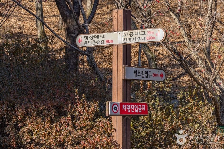 성주봉자연휴양림 사진 8