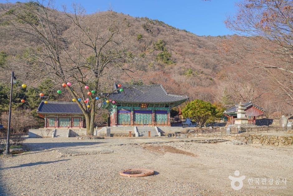 사나사(양평) 사진 8