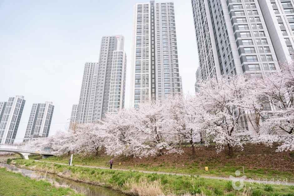원성천