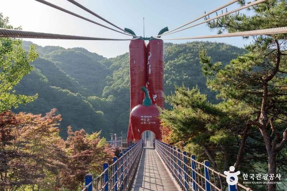 천장호 출렁다리 사진 5