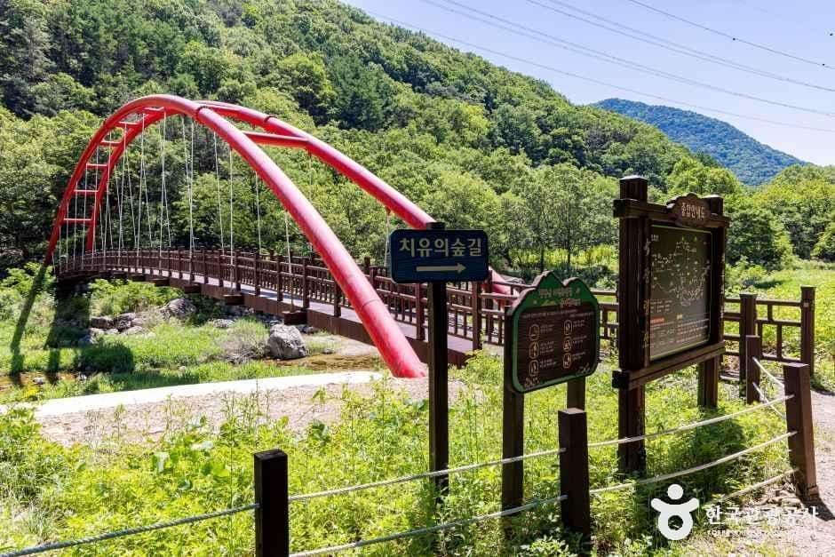 장령산자연휴양림 사진 2
