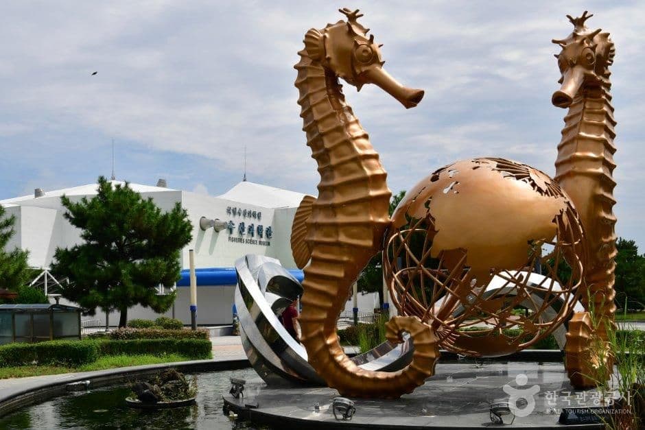 국립수산과학관 사진 3