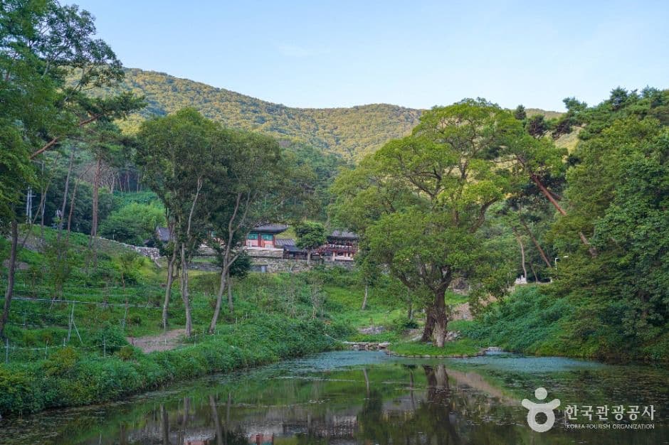 청곡사(진주) 사진 4