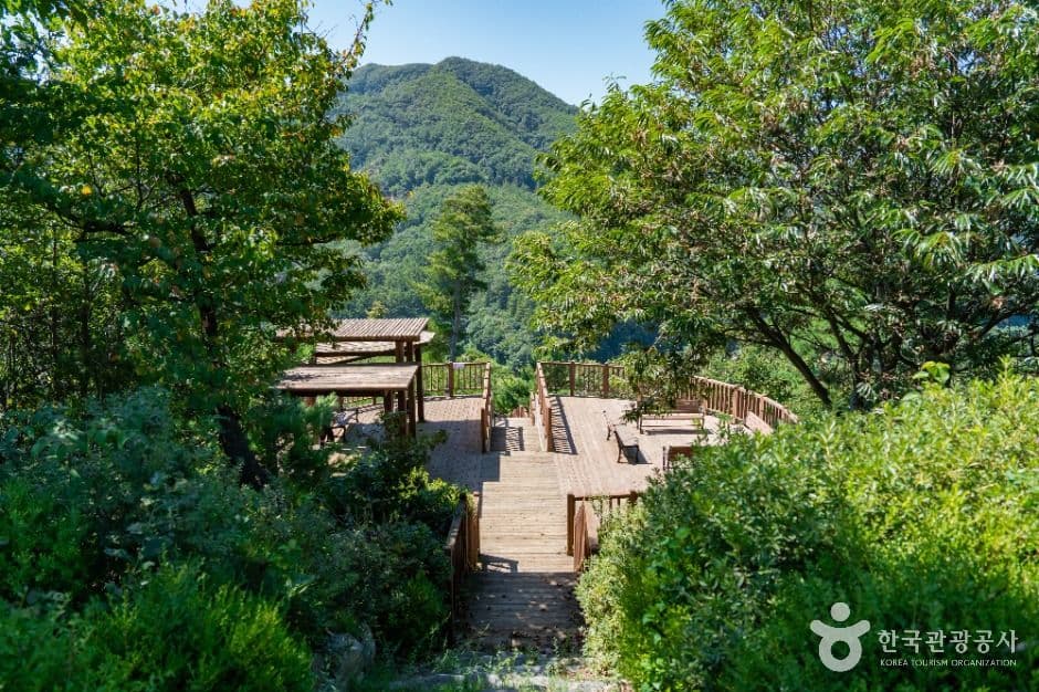 석포숲공원 사진 7