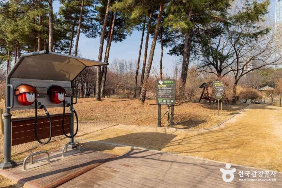 해돋이공원 사진 8