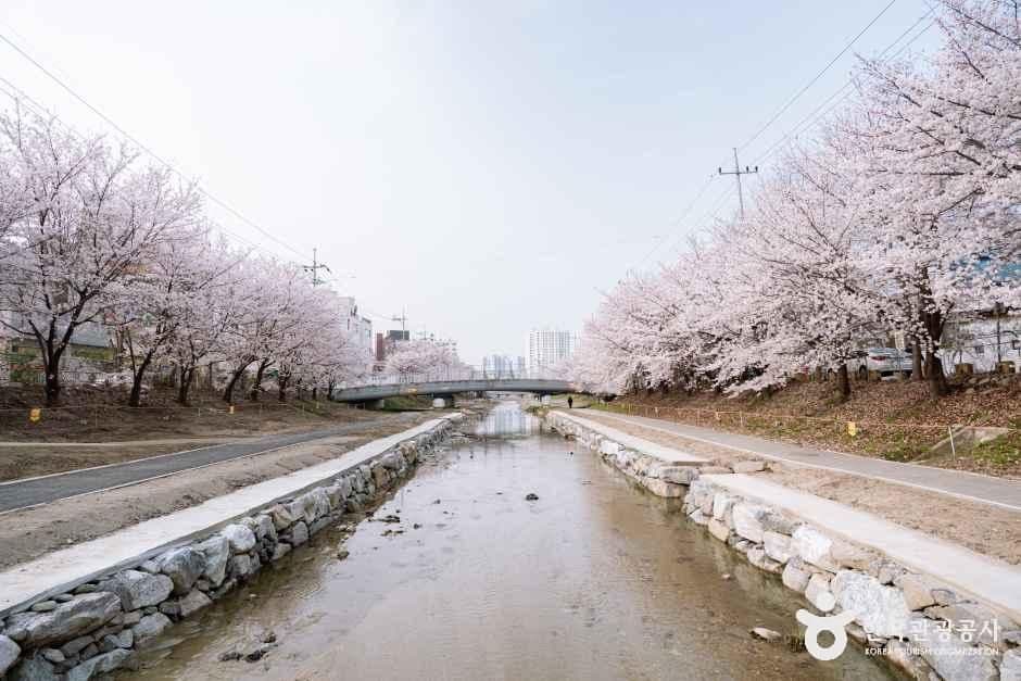 원성천 사진 1